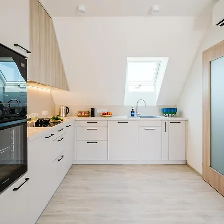 Days - Floor With Terrace & Ac Near Vysehrad Castle * Prag